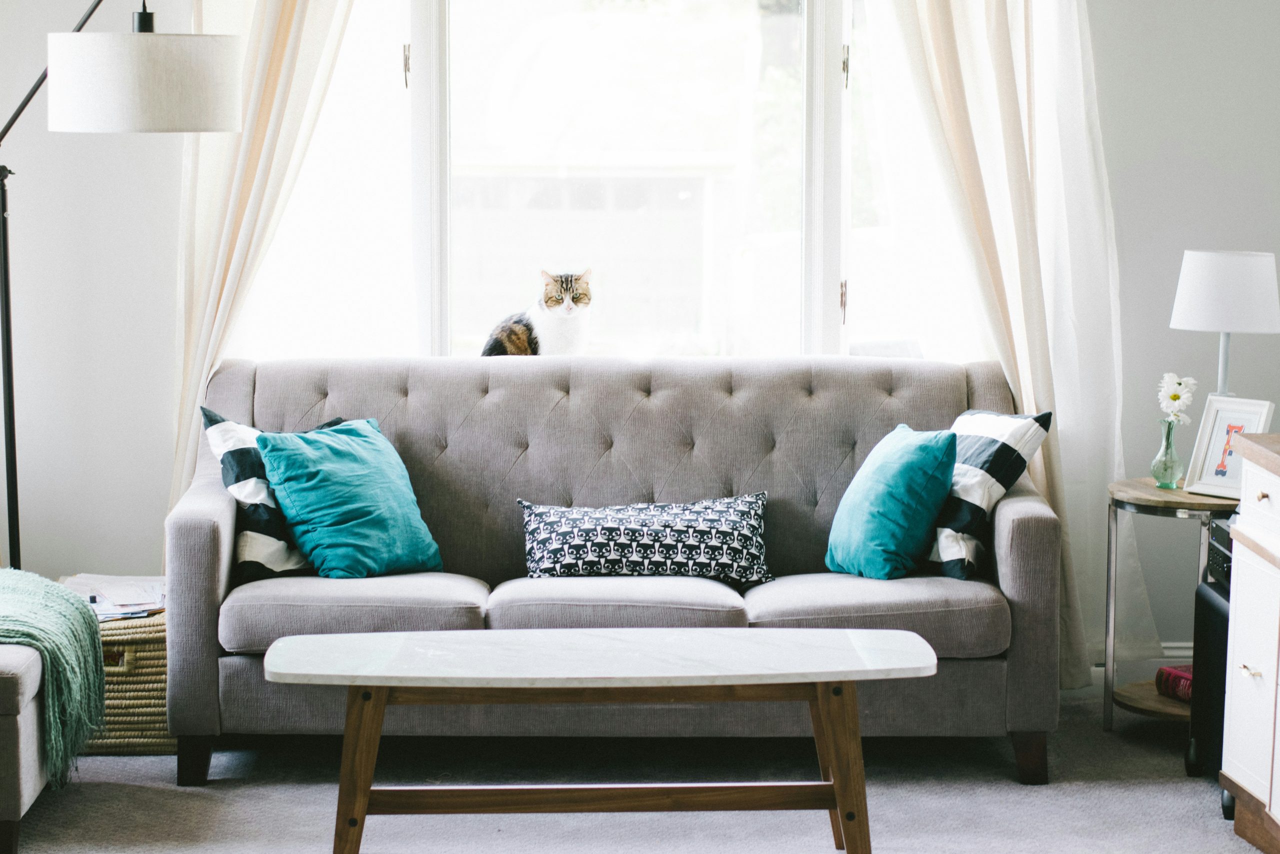 Furniture Moving